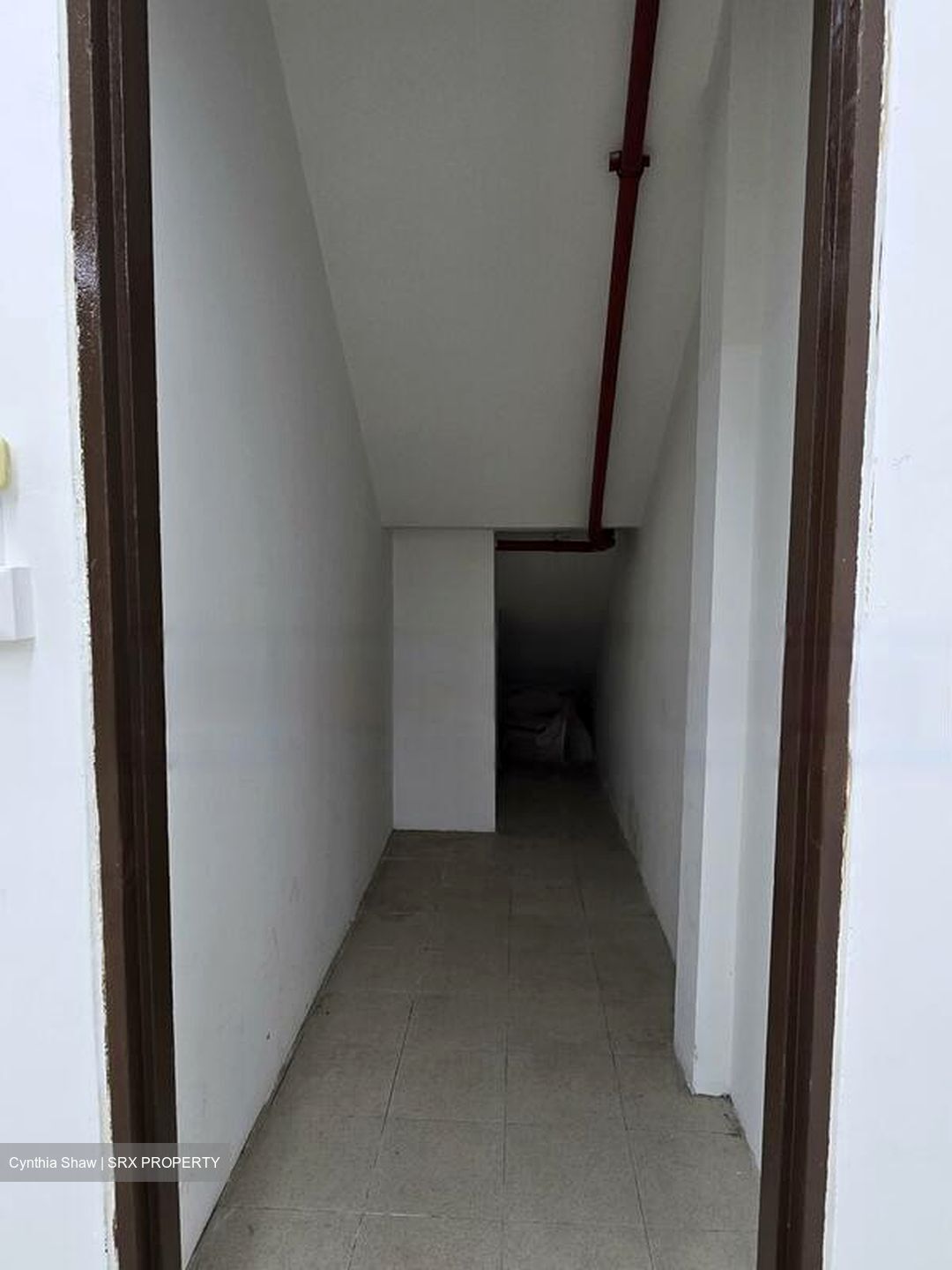 Sam Leong Road (D8), Shop House #566778761